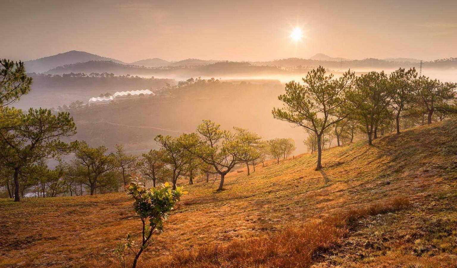 Anh Duc Hotel Da Lat City Bagian luar foto
